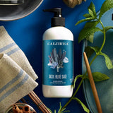 Basil Blue Sage Hand Lotion