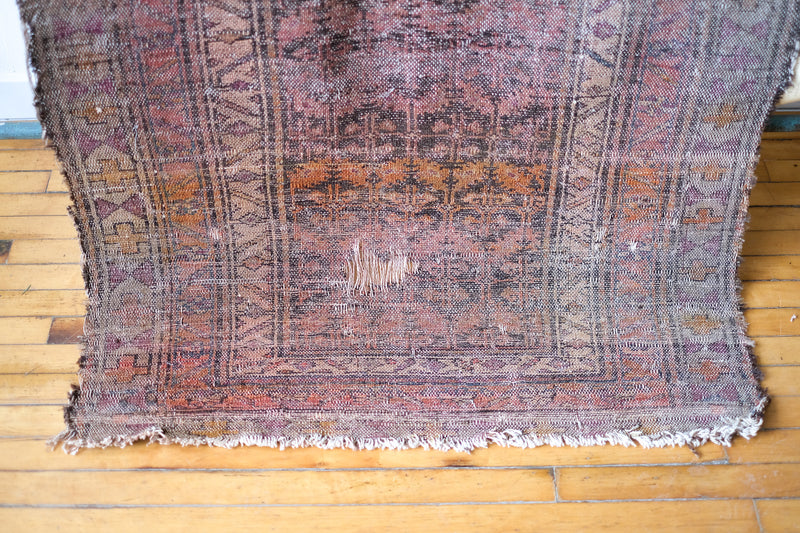 Antique Persian Runner Rug, Salmon / Brown