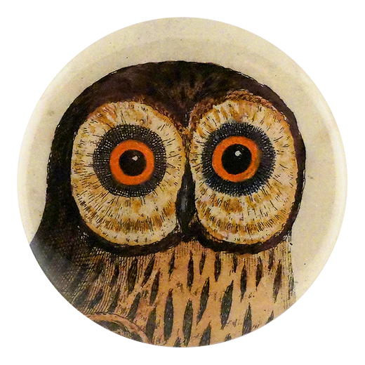 Great Brown Owl Pocket Mirror