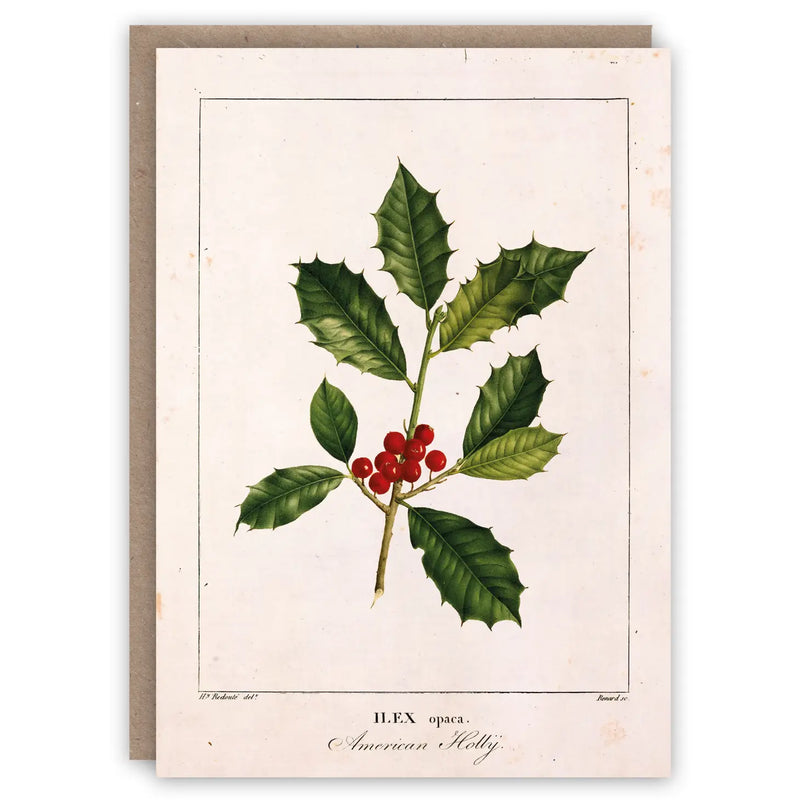 Holly Berry Holiday Card